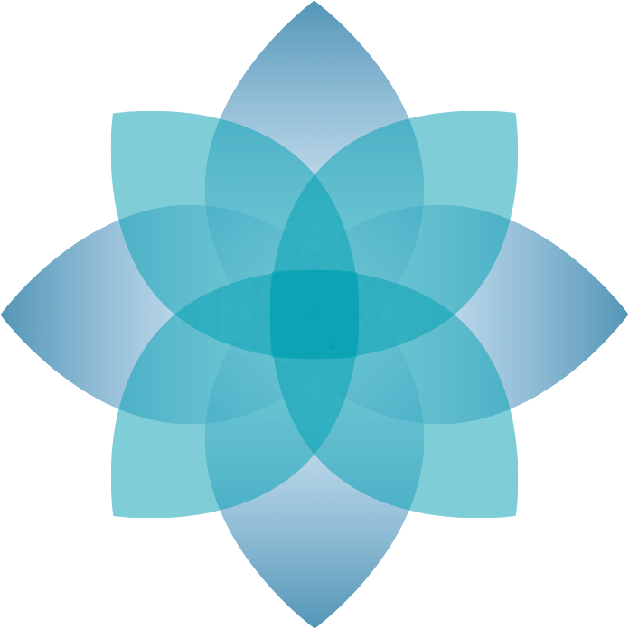 BrightSpring Health Services