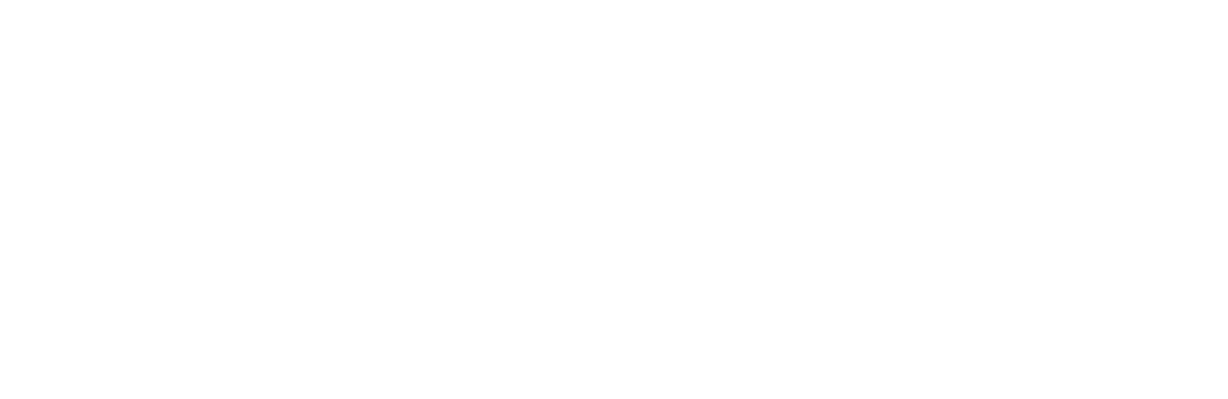 Davies Risk Services